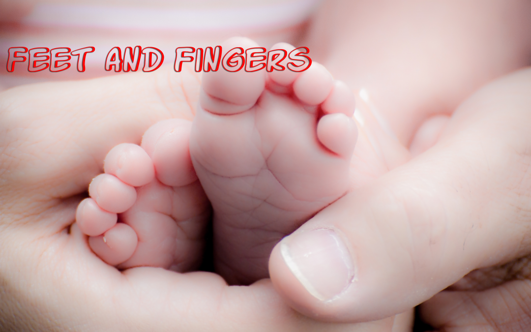 Feet and Fingers Sheet Music from Baby Songs by Cantor Robbie Solomon